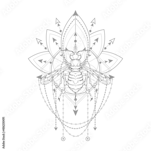 Vector illustration with hand drawn wasp and Sacred symbol on white background. Abstract mystic sign. Black linear shape.