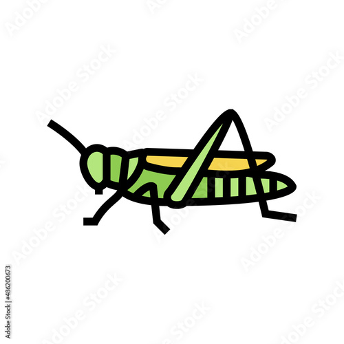 grasshopper insect color icon vector. grasshopper insect sign. isolated symbol illustration