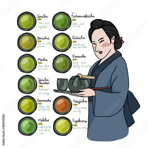 Types of Japanese tea info graphic vector illustration