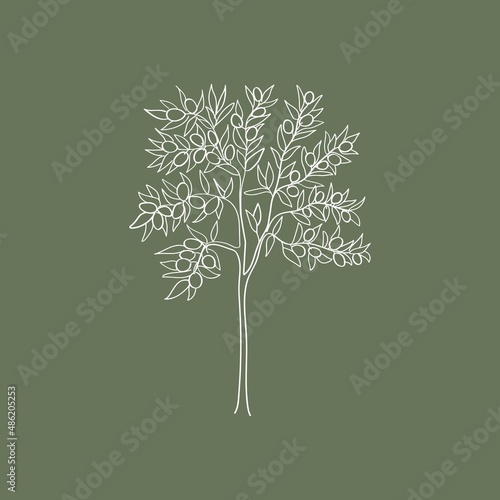 Outline art of olive tree. On green background.