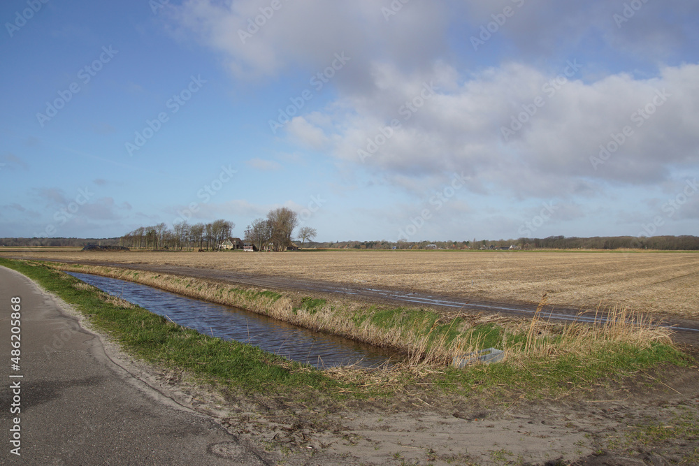 Ditch and bulb field in winter covered with straw to protect the bulbs from frost, tractor tire tracks. Narrow road to farms. Dunes in the distance. Netherlands, February