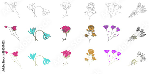 Flowers flat and sketch vector illustration set. Floral simple bright and colour picture of garden flowers  rose  poppy  lavender  bell  peony  carnation.