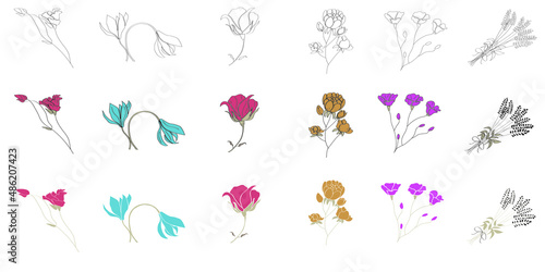 Flowers flat and sketch vector illustration set. Floral simple bright and colour picture of garden flowers, rose, poppy, lavender, bell, peony, carnation.