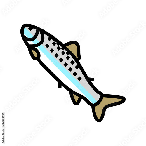 smolt salmon color icon vector. smolt salmon sign. isolated symbol illustration