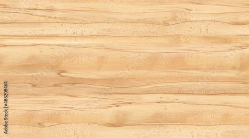 New rustic light bright wooden texture, wood background panorama banner long, texture of wood