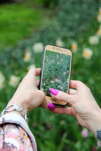 Flowers of Elagin Island in St. Petersburg