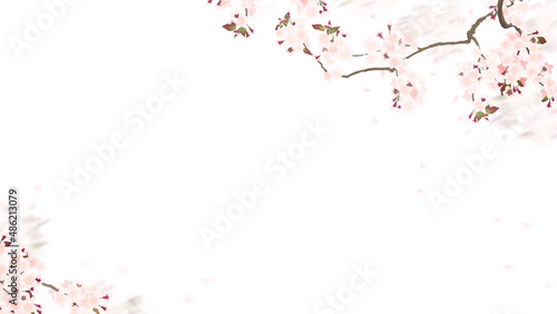 Oriental white background material using cherry blossoms