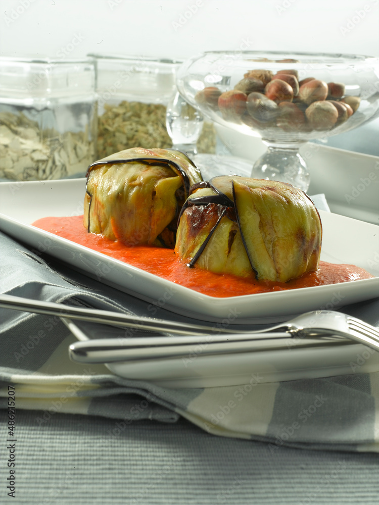 Calabacín relleno de carne con salsa de tomate, gourmet. Zucchini stuffed with meat with tomato sauce, gourmet. Calabacín relleno de carne con salsa de tomate, gourmet. Zucchini stuffed with meat with tomato sauce, gourmet.