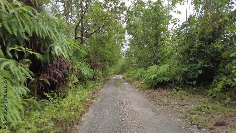 POV go down asphalt road in Malaysia forest POV go down asphalt road in Malaysia forest