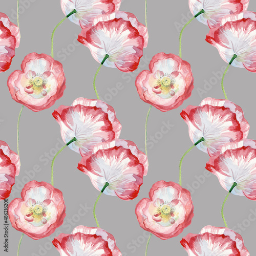 Watercolor seamless pattern with poppies on gray background. Summer, wild, botanical, floral hand painted print.Designs for scrapbooking, packaging, wrapping paper, social media, textiles, fabric.