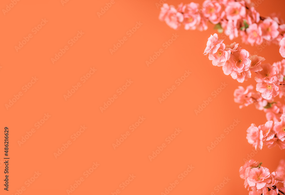 Naklejka premium Spring Festival flowers poster background material