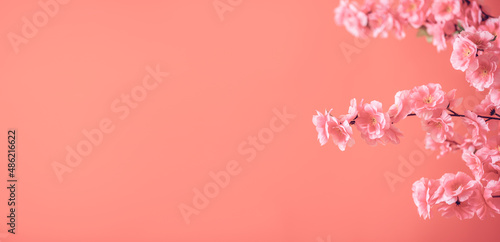 Spring Festival flowers poster background material