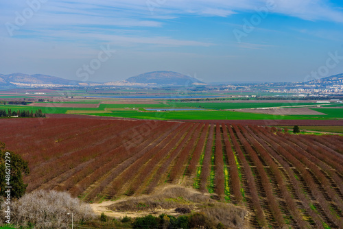 Jezreel valley countryside  and Mount Tabor