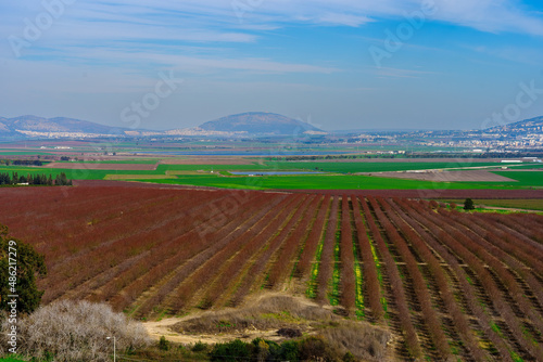 фотографія Jezreel valley countryside, and Mount Tabor