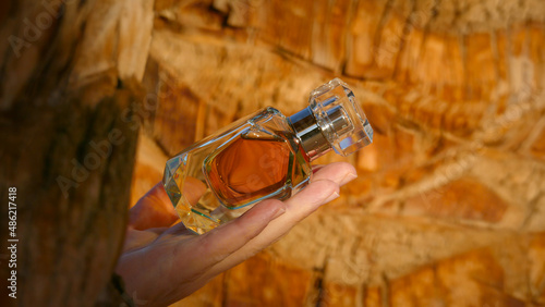 Perfume bottle against the backdrop of a palm tree © PaulShlykov