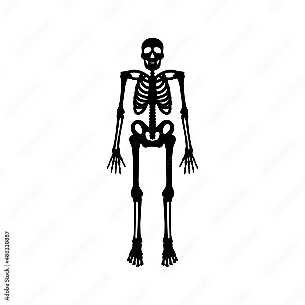 Obraz premium Skeleton icon design template vector isolated