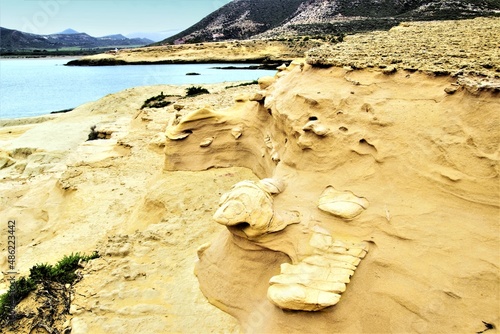 Fossils of tertiary sediments, sandstones, calcarenites and limestones of Tortonian algae, reef limestones of the Mesinian, in the Playazo de Rodalquilar, Natural Park of Cabo de Gata, Almería, spain, photo