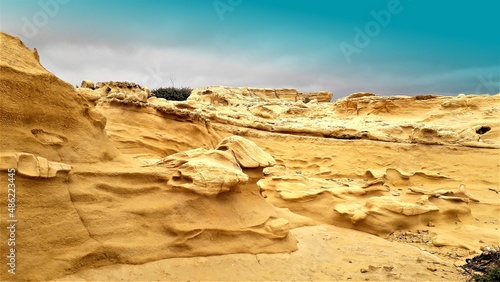 Fossils of tertiary sediments, sandstones, calcarenites and limestones of Tortonian algae, reef limestones of the Mesinian, in the Playazo de Rodalquilar, Natural Park of Cabo de Gata, Almería, spain, photo