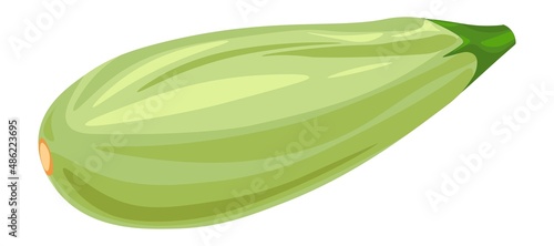 Zucchini organic and natural ingredient dieting