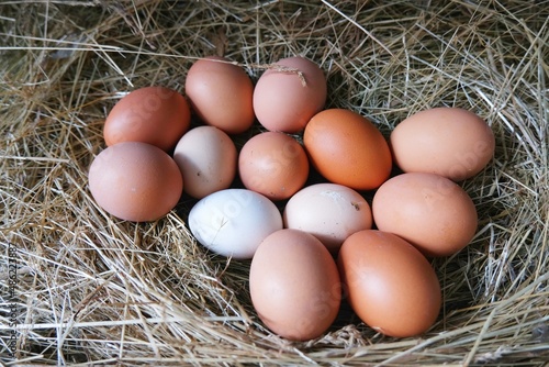 Yellow and white eggs on straw.