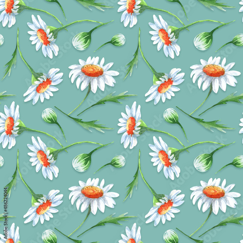 Watercolor seamless pattern with camomile flowers and leaves. Design for wrapping paper  wallpaper  textile  backdrop and other. Watercolor floral design elements.