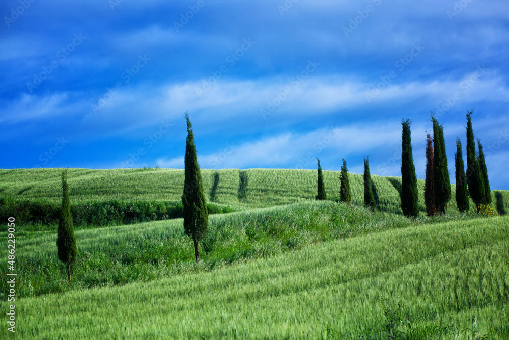 Typical summer landscape of Tuscany with hills