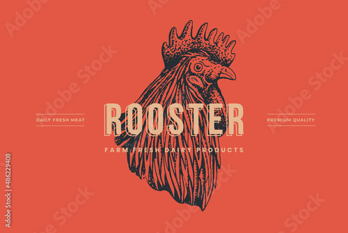 Rooster head. Hand-drawn retro picture with a bird in engraving style. Can be used for restaurant menu design, market packaging, and labels. Vector vintage illustrations on a red background.