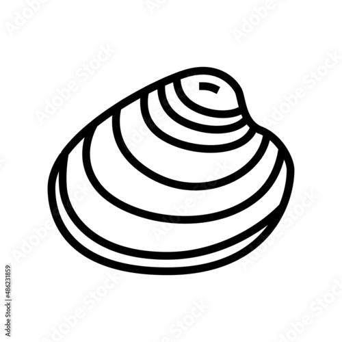 hard-shell atlantic clam line icon vector. hard-shell atlantic clam sign. isolated contour symbol black illustration
