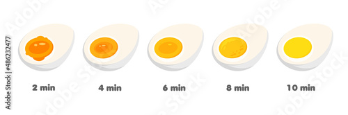 Stages of egg boiling in time. Variations of readiness chicken eggs in cross-section. Cooking recipe. Vector illustration isolated on white background