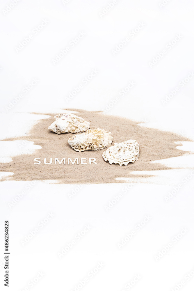Fototapeta premium Summer mood creative arrangement. Beautiful seashells, summer - word on white sands.