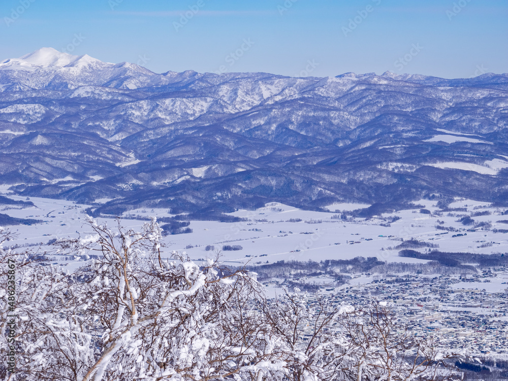 Viewing town and peaks covered with snow beyond frost trees in a mountain (Niseko, Hokkaido, Japan)