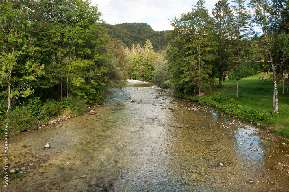 Sava Bohinjka River. Bohinj, Slovenia Sava Bohinjka River. Bohinj, Slovenia