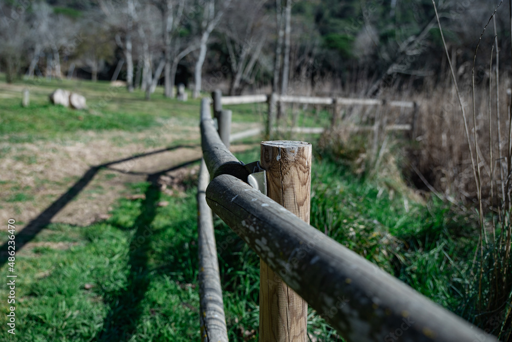 Fototapeta premium Old wooden fence in green park