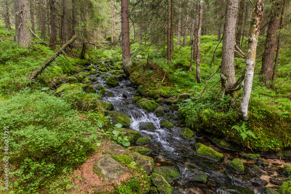 Small stream in Nizke Tatry mountains, Slovakia Small stream in Nizke Tatry mountains, Slovakia
