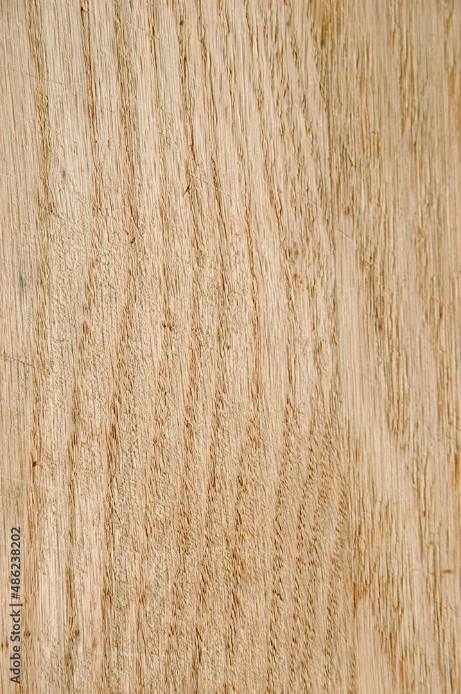 Fototapeta premium Wooden board. Natural light background