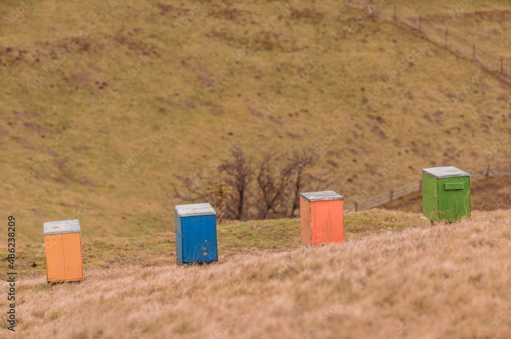apiculture in the mountains, beehive in the top of the mountain apiculture in the mountains, beehive in the top of the mountain