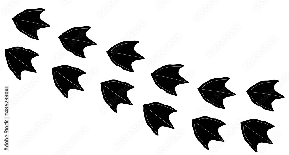 Fototapeta premium Duck footprint path. Vector bird steps in line