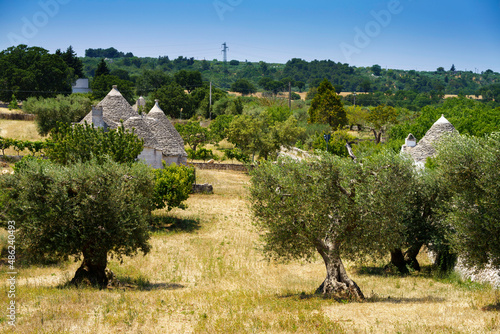 Rural landscape on Apulia between Polignano a Mare and Alberobello photo