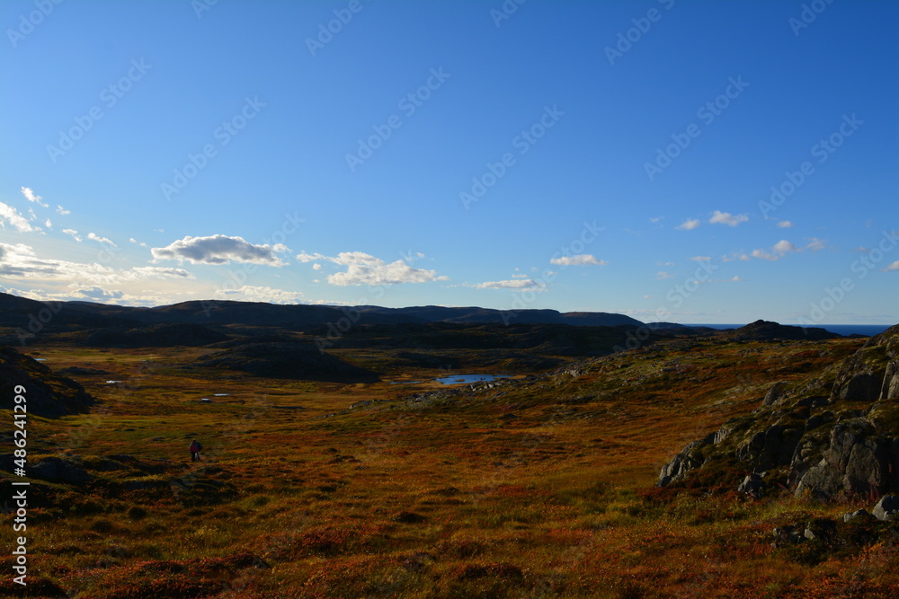 colorful landscape of the plains of the autumn tundra colorful landscape of the plains of the autumn tundra