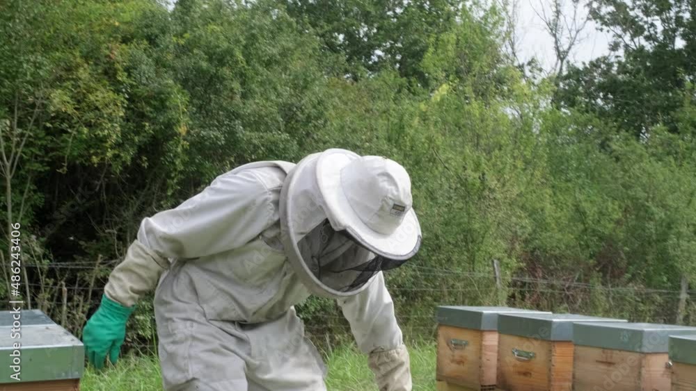 A Beekeeper Collecting Honey And Beeswax From A Hobby Beehive A Beekeeper Collecting Honey And Beeswax From A Hobby Beehive
