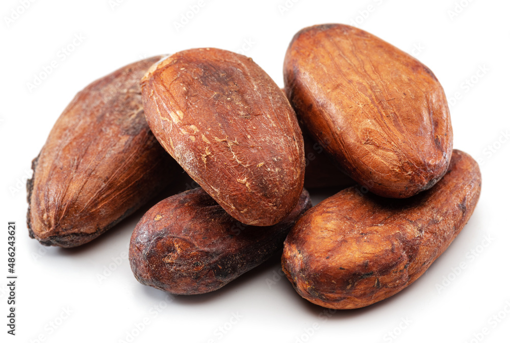 Obraz premium Cocoa beans close-up on white background.