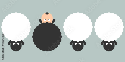 Cute white sheep and black sheep cartoon character flat vector design.