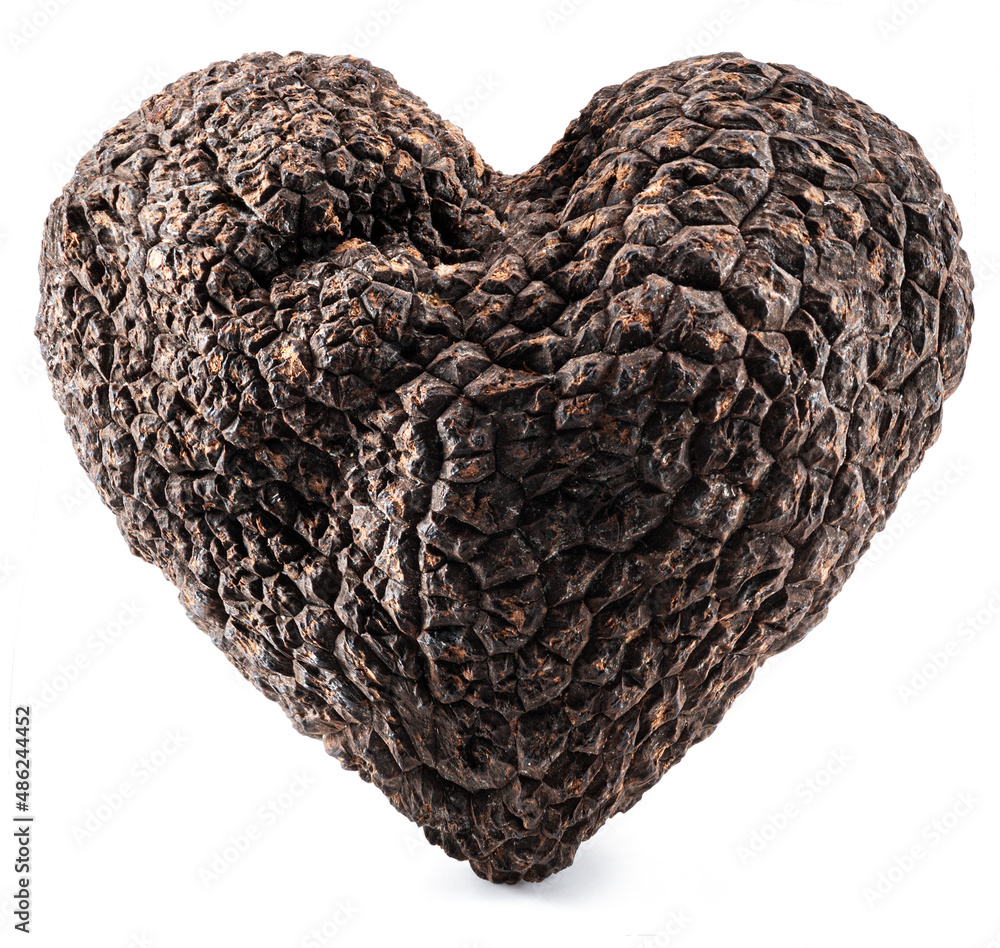Black edible winter truffle in a shape of heart on white background. The most famous of the truffles. Black edible winter truffle in a shape of heart on white background. The most famous of the truffles.
