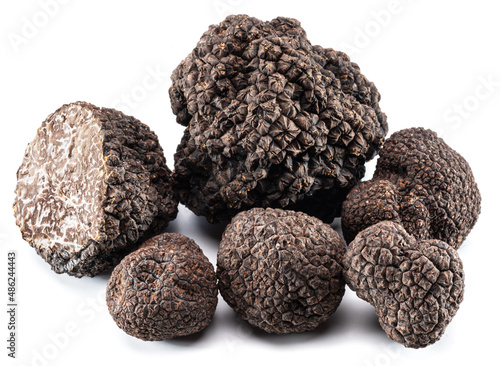 Black edible winter truffles on white background. The most famous of the truffles.