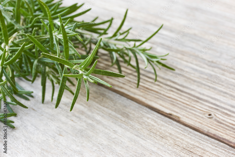 Closeup of a bunch of fresh aromatic green rosemary herb on old wood background with copy space Closeup of a bunch of fresh aromatic green rosemary herb on old wood background with copy space