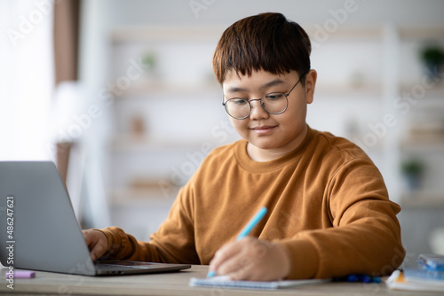 Intelligent korean kid doing homework at home