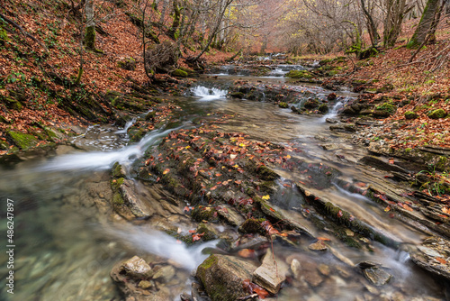 The autumnal flow in Irati Forest