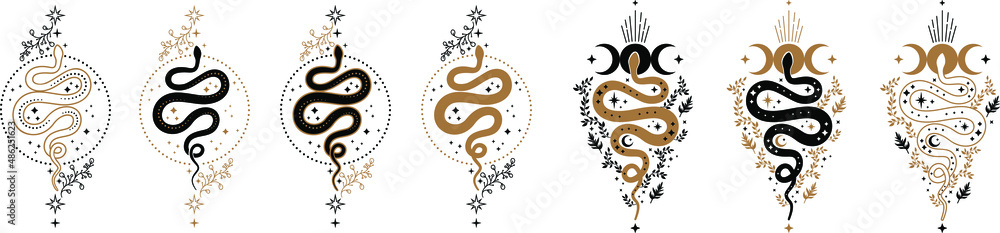 Black Snake on Magic mystic Crescent Moon in wreath of branches Sacred  geometry celestial pagan Wiccan goddess symbol sign tattoo energy  circle boho style vector isolated on white background 6327286 Vector Art