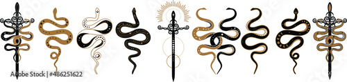 magic celestial snake with crescent moon,star and moon phases. Mystical witchy symbol. Cosmic serpent and celestial bodies. Boho style print logo tattoo designs, sword witchy dagger
