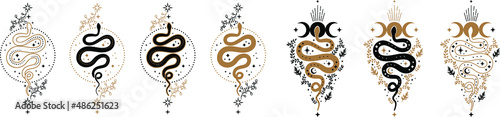 floral snake, magic celestial snake with crescent moon,star and moon phases. Mystical witchy symbol. Cosmic serpent and celestial bodies. Boho style print logo tattoo designs